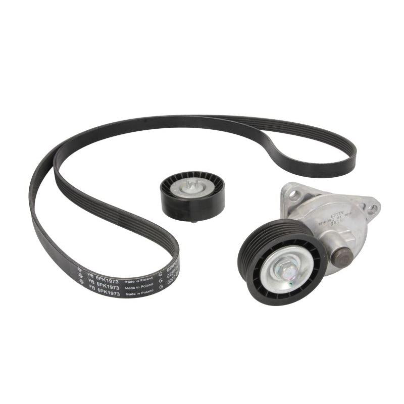 INA 529028110 V-Ribbed Belt Set