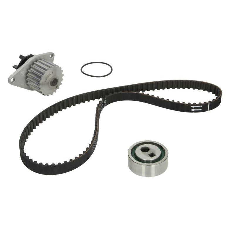 INA 530001230 Water Pump & Timing Belt Kit