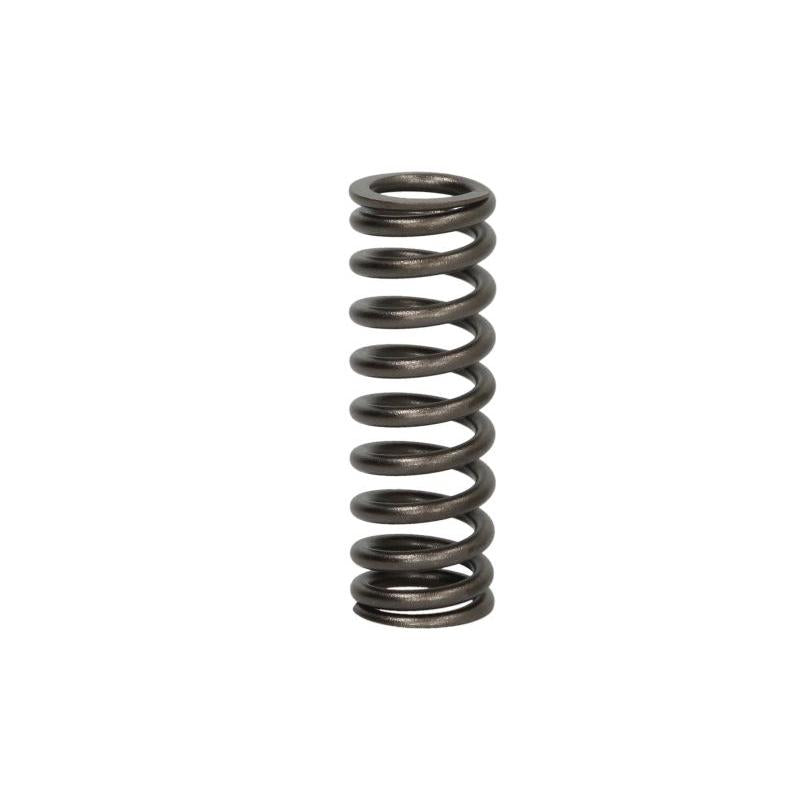 DT SPARE PARTS 2.10275 Valve Spring