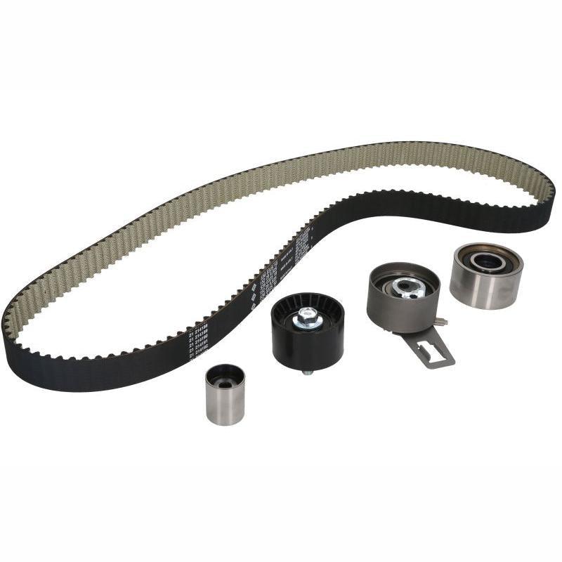 INA 530050910 Timing Belt Set