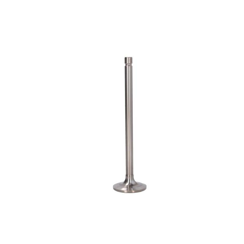 PARADOWSCY PDAF031 Intake Valve