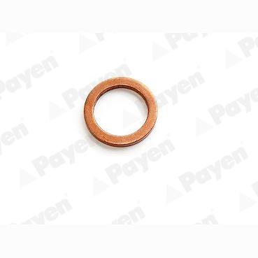 PAYEN r/PA345 Seal Ring
