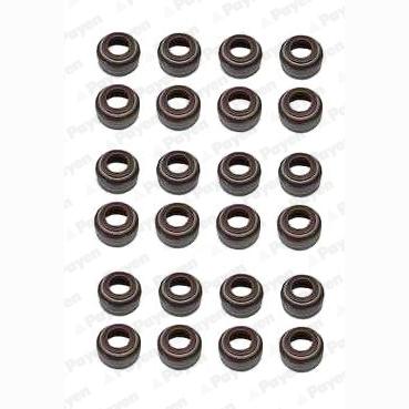 PAYEN HR5055 Valve Stem Seal Set