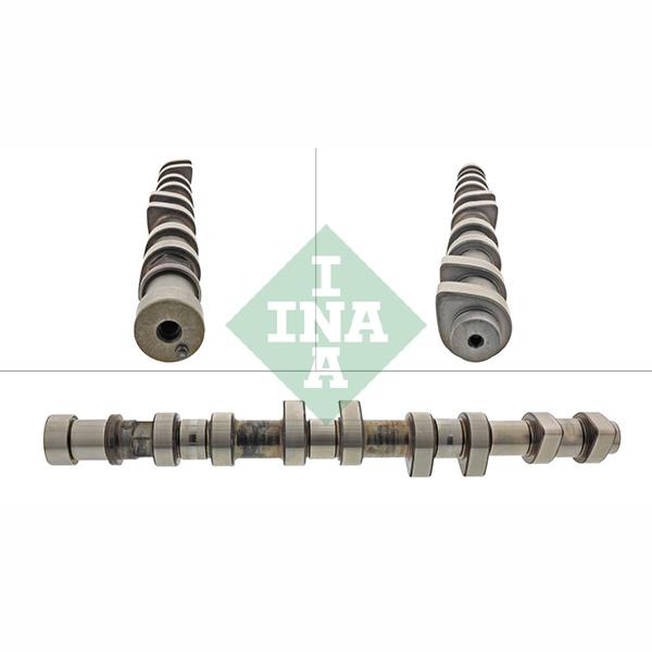 INA 428014610 Camshaft