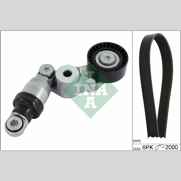 INA 529041310 V-Ribbed Belt Set