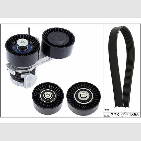 INA 529049510 V-Ribbed Belt Set