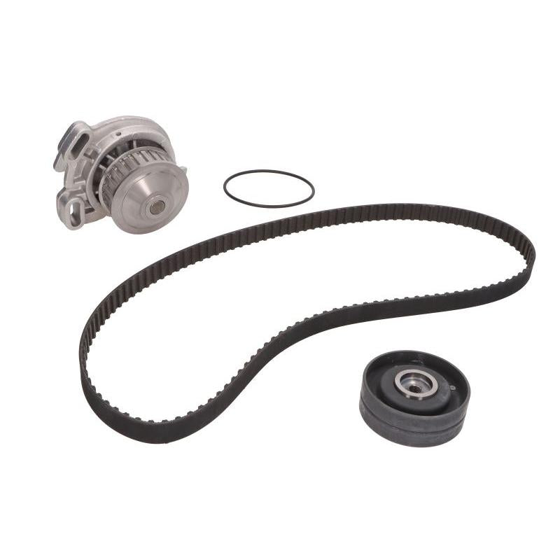 INA 530015130 Water Pump & Timing Belt Kit