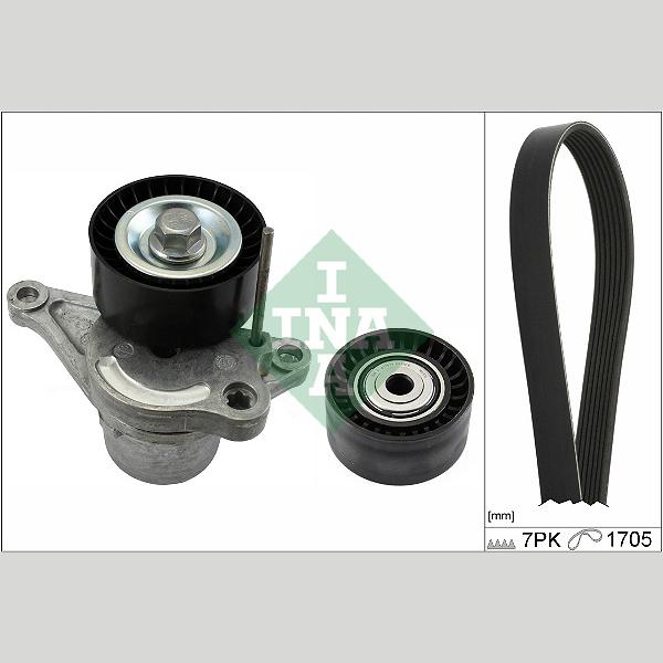 INA 529042310 V-Ribbed Belt Set