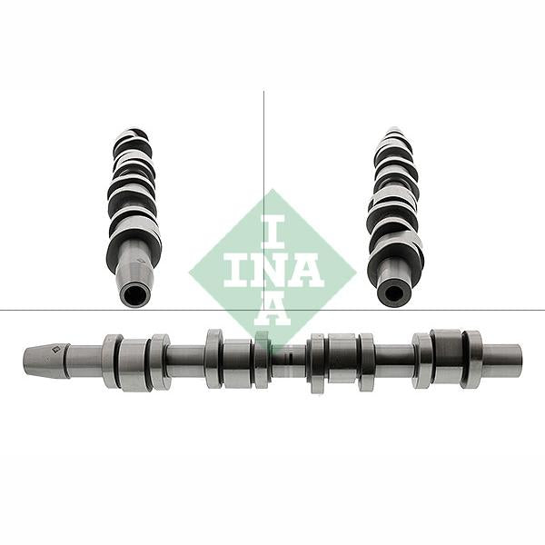 INA 428012310 Camshaft