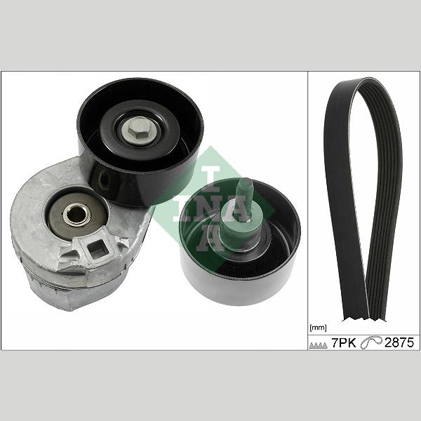 INA 529039010 V-Ribbed Belt Set