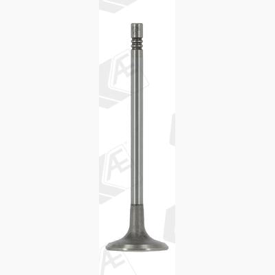 AE V95256 Intake Valve