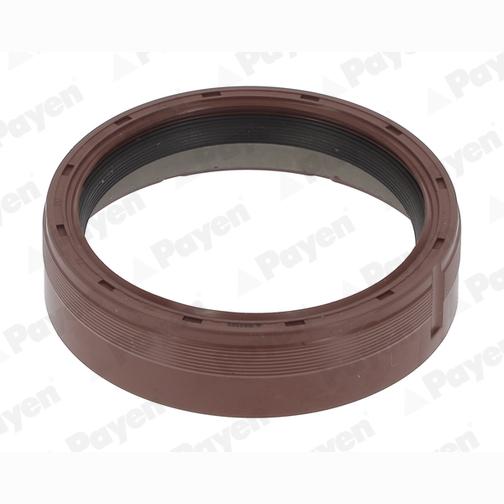 PAYEN NA5505 Crankshaft Shaft Seal