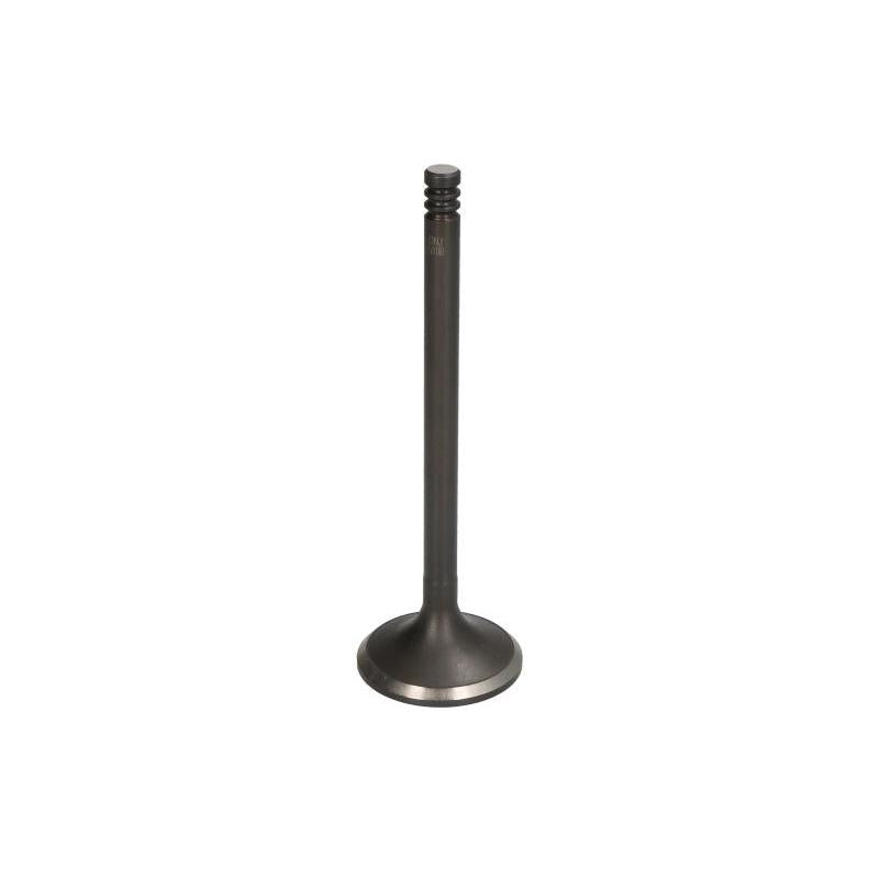 DNJ EV1160 Exhaust Valve