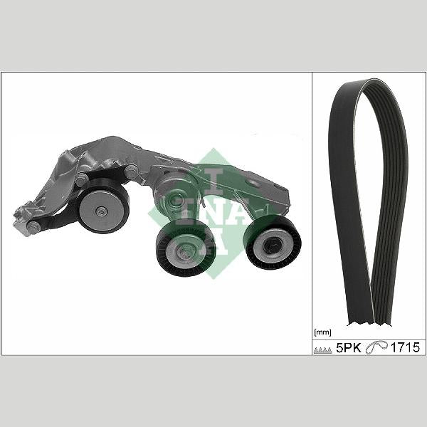 INA 529041010 V-Ribbed Belt Set