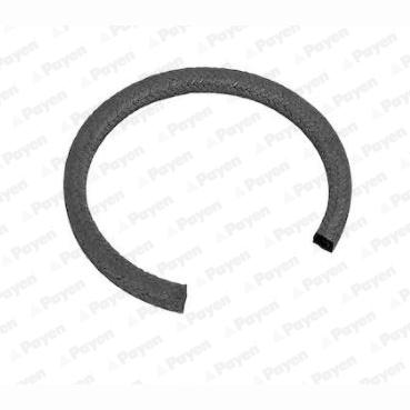 PAYEN PA815 Crankshaft Shaft Seal