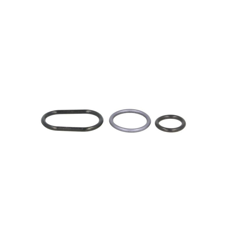 ELRING EL703520 Timing Case Gasket Kit