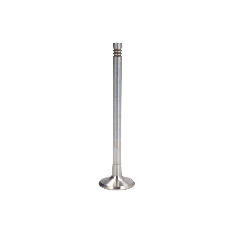 TRW 111113 Exhaust Valve
