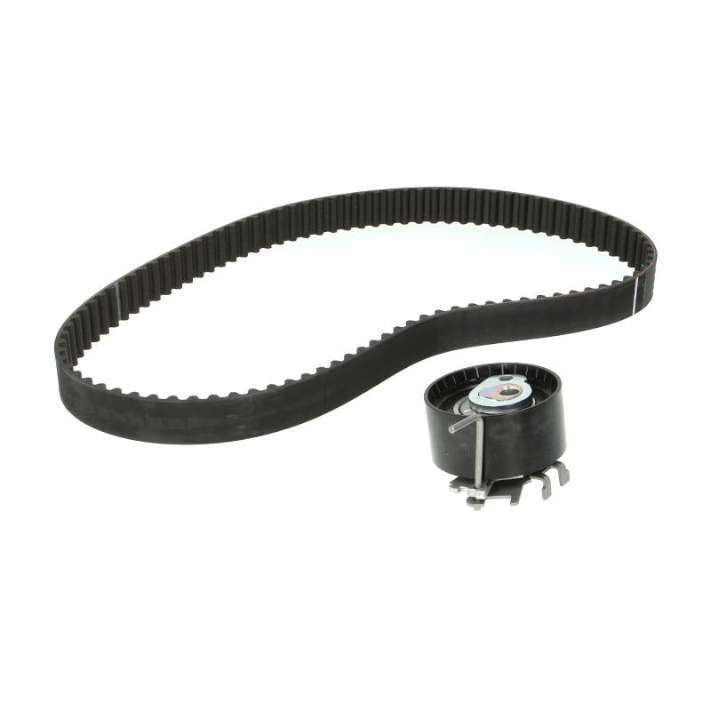INA 530019510 Timing Belt Set