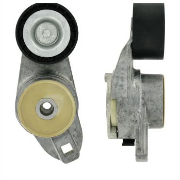 SKF VKMCV53006 V-Ribbed Belt Tensioner Pulley