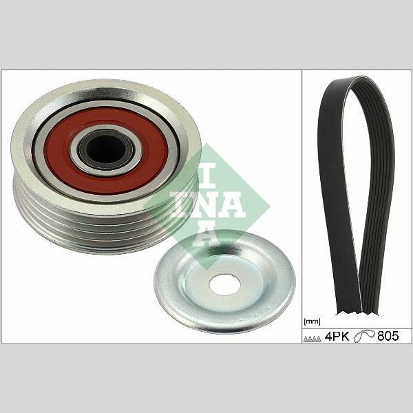 INA 529048110 V-Ribbed Belt Set