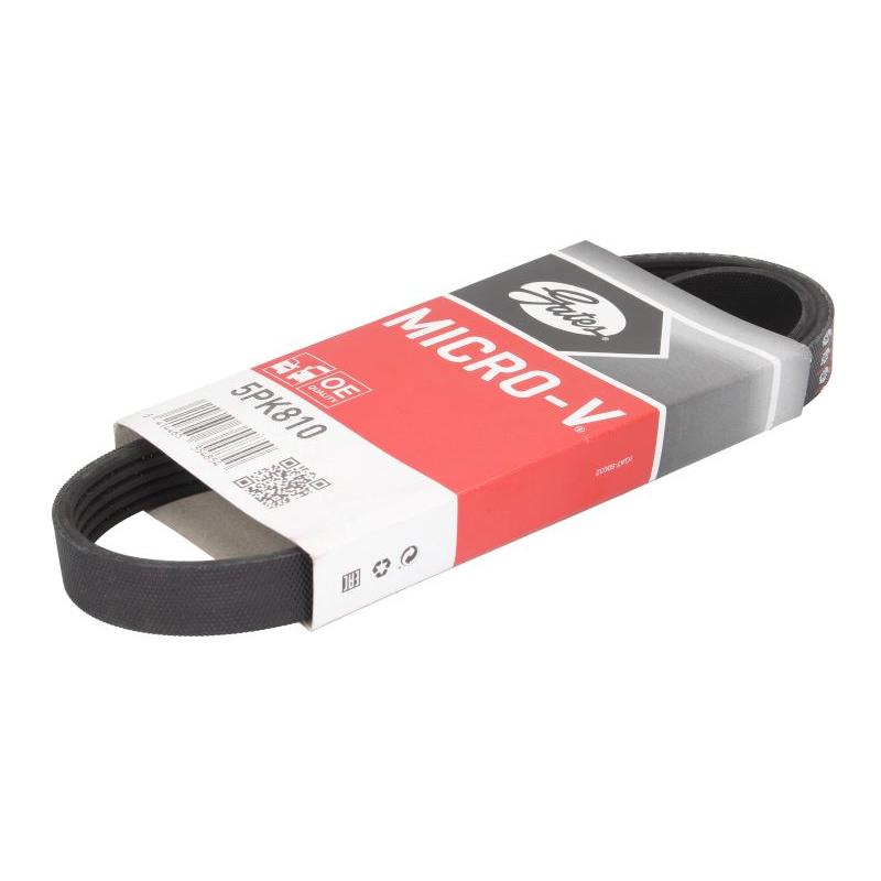GATES GAT5PK810 V-Ribbed Belt