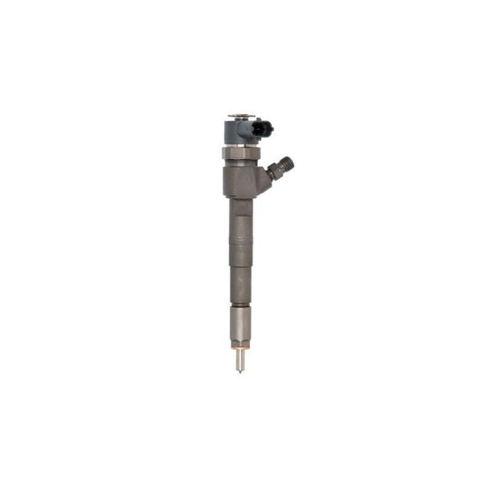 BOSCH 110-524 Injector