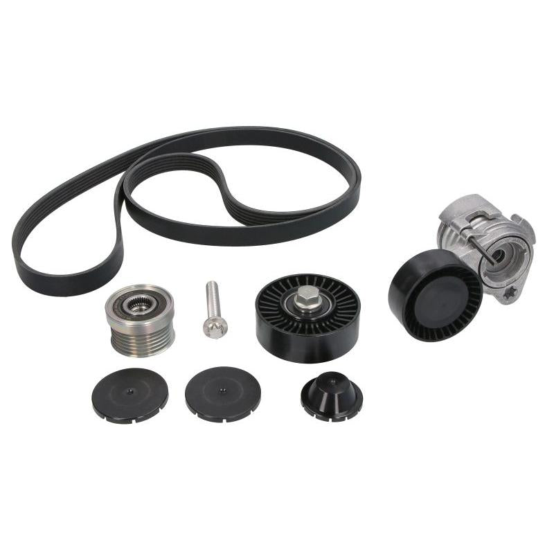 INA 529004320 V-Ribbed Belt Set