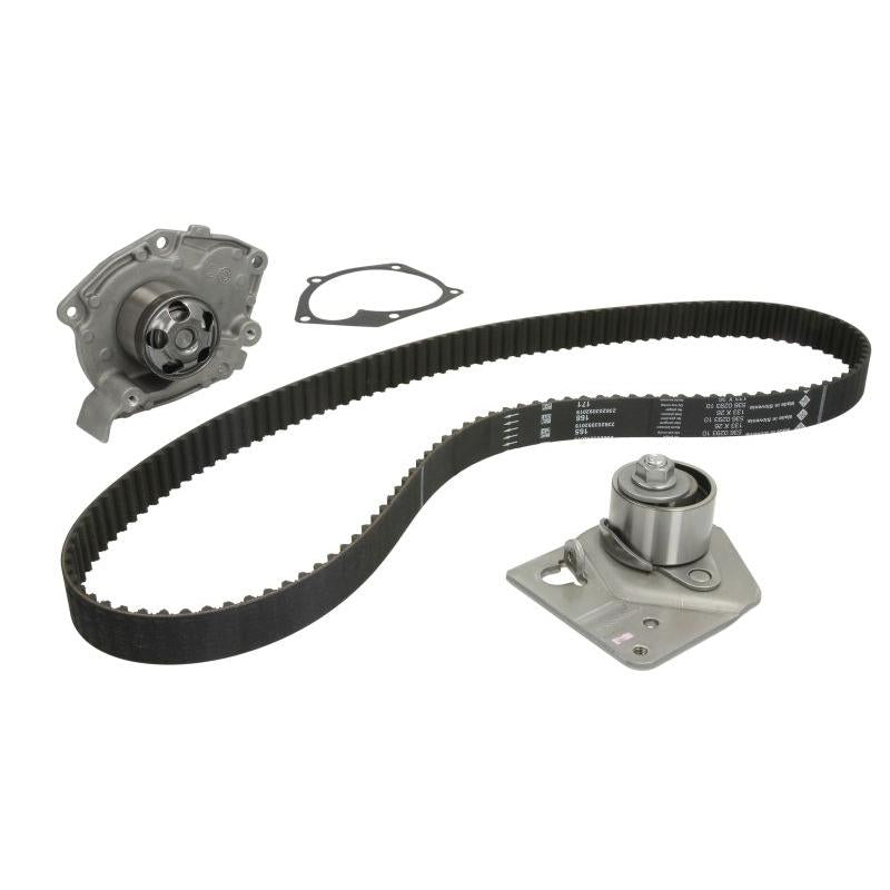 INA 530044230 Water Pump & Timing Belt Kit