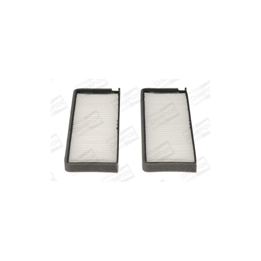 Champion Ccf0111 Pollen Filter
