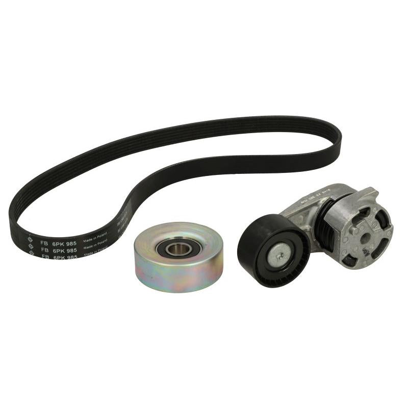 INA 529048211 V-Ribbed Belt Set
