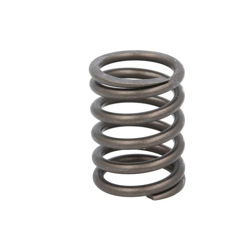 FP DIESEL 9N5496-FP Valve Spring