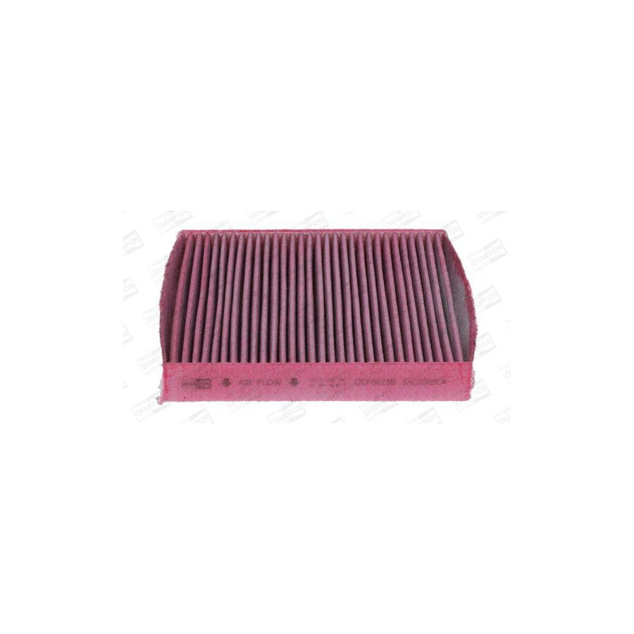 Champion Ccf0023B Pollen Filter