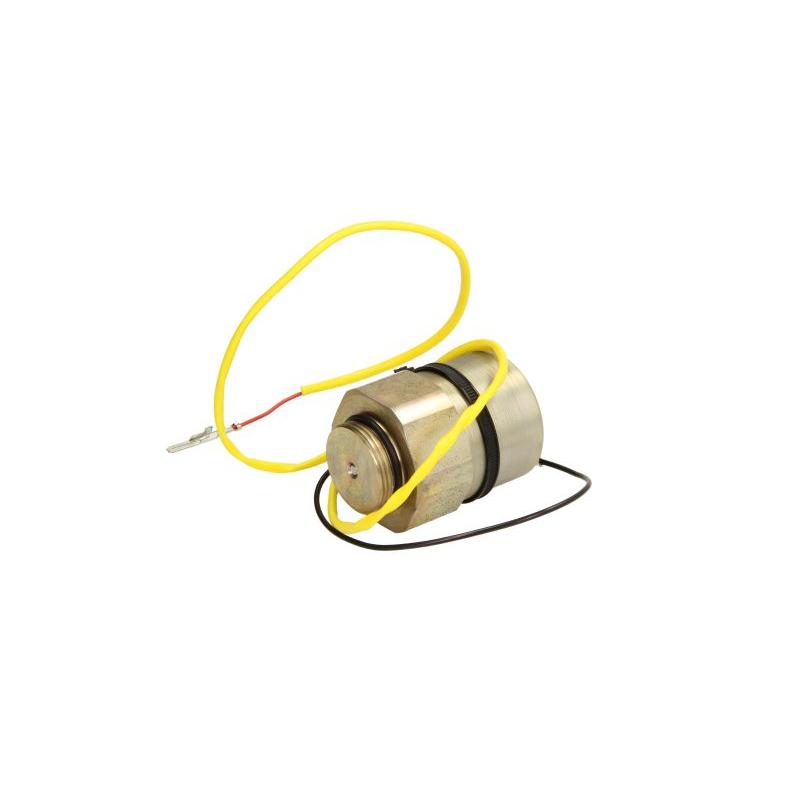 DELPHI 00-442H Injection System Fuel Cut-Off