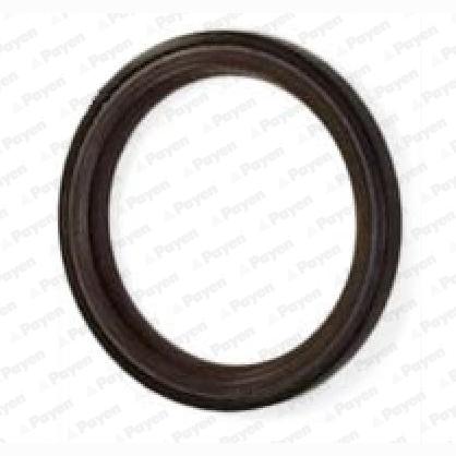 PAYEN NA5317 Camshaft Shaft Seal