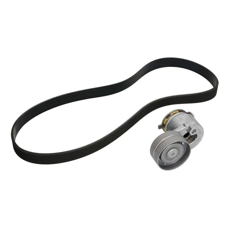 INA 529008810 V-Ribbed Belt Set