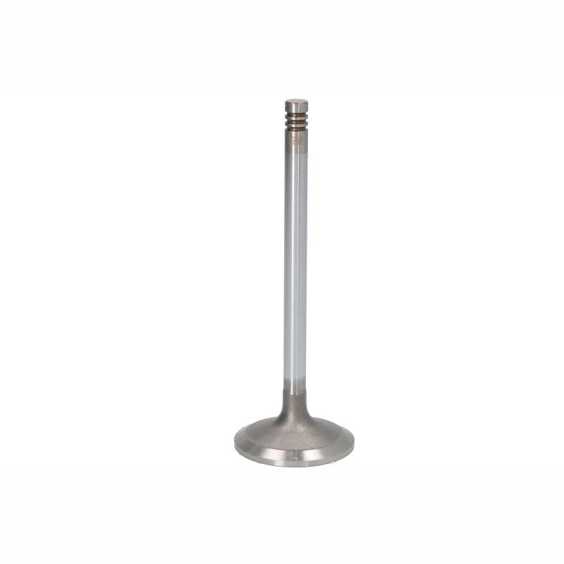 OE GERMANY 030520700002 Intake Valve