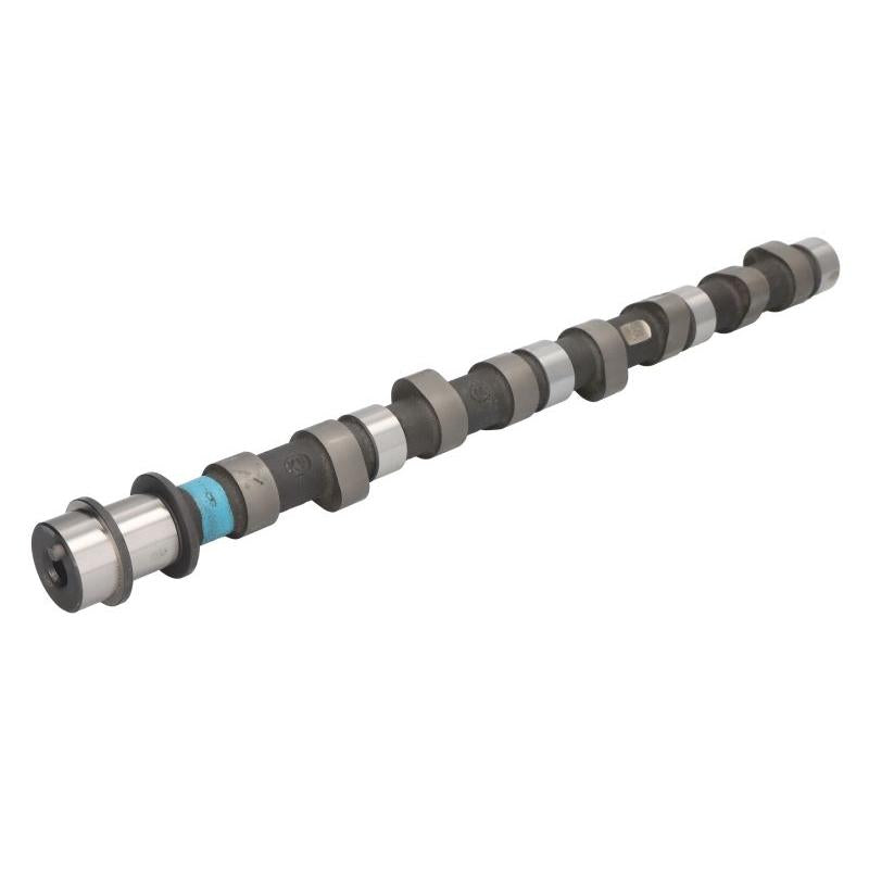 KOLBENSCHMIDT 50006310 Camshaft