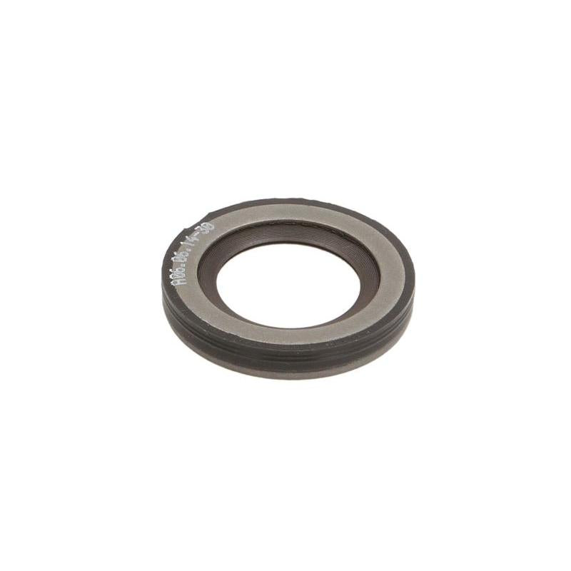 DELPHI 8216803 Seal Ring