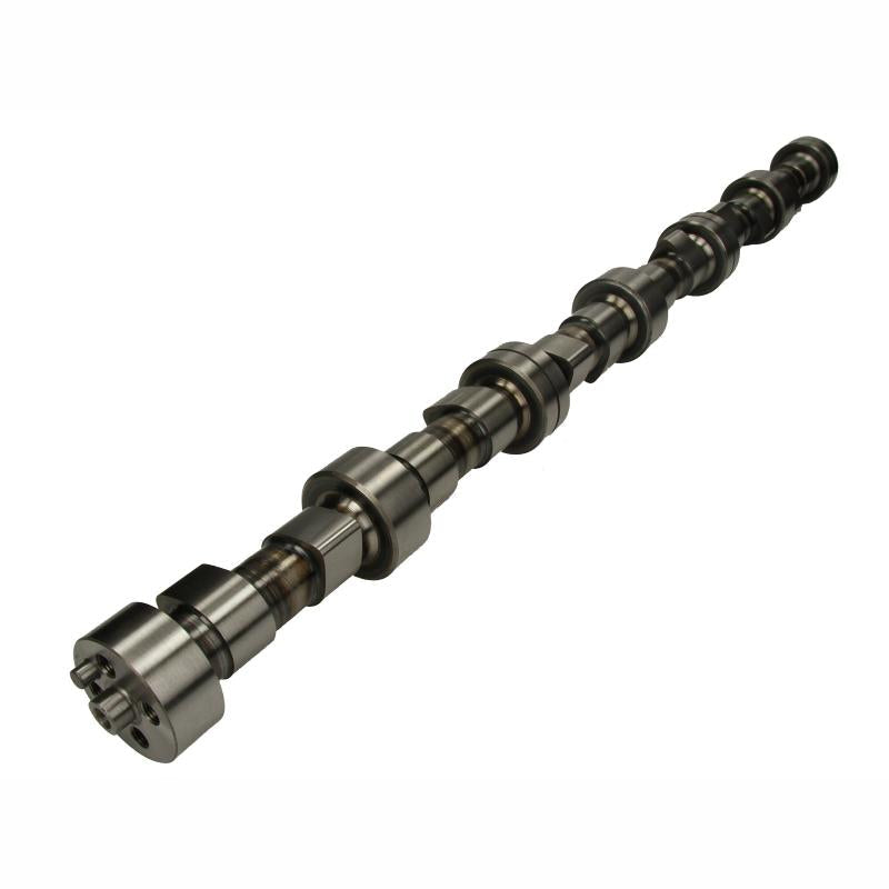 BF 20100208361 Camshaft