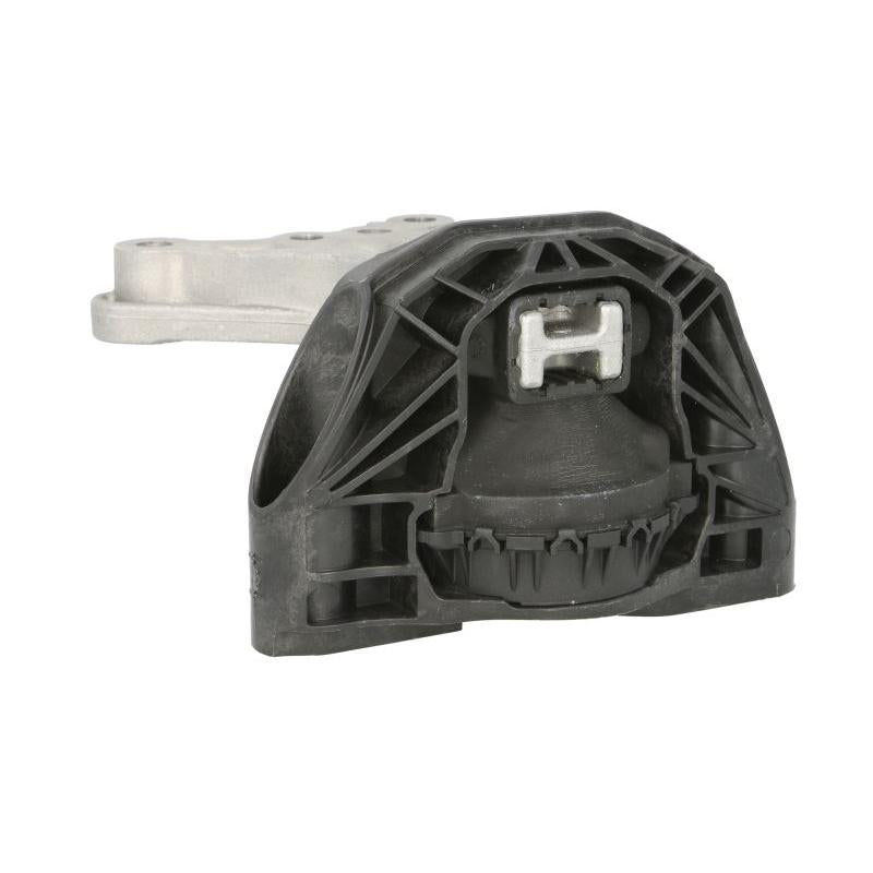 SASIC SAS2700079 Engine Mount
