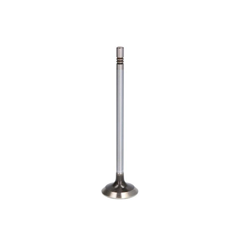 AE V94593 Exhaust Valve