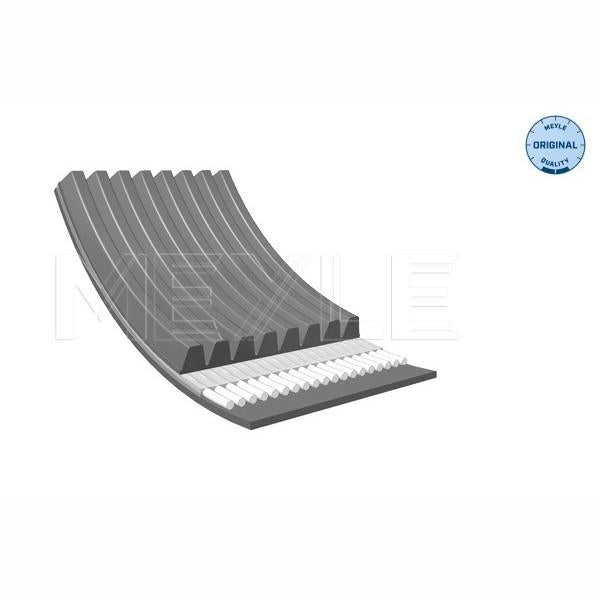 MEYLE 0500081230 V-Ribbed Belt