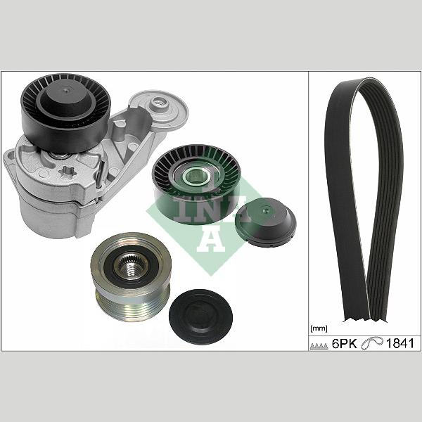 INA 529048020 V-Ribbed Belt Set