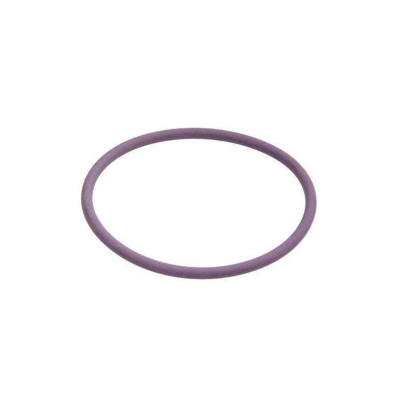 DELPHI 00-0070 Seal Ring