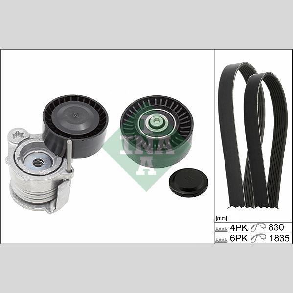 INA 529035910 V-Ribbed Belt Set