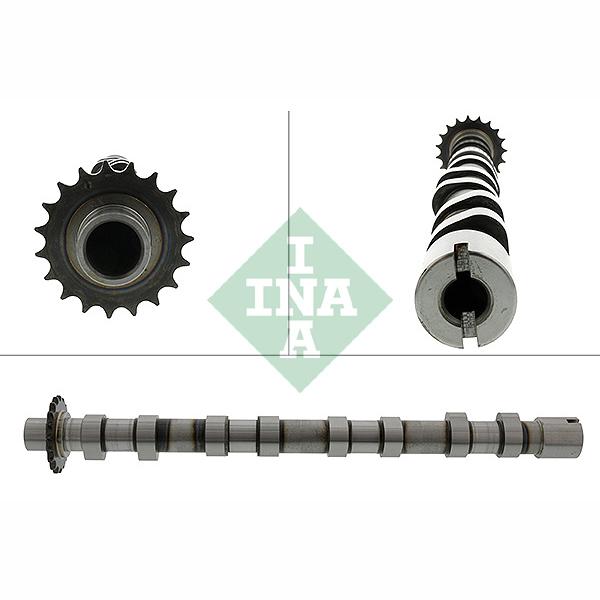 INA 428018910 Camshaft