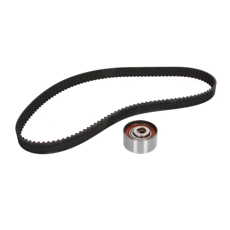 INA 530056410 Timing Belt Set