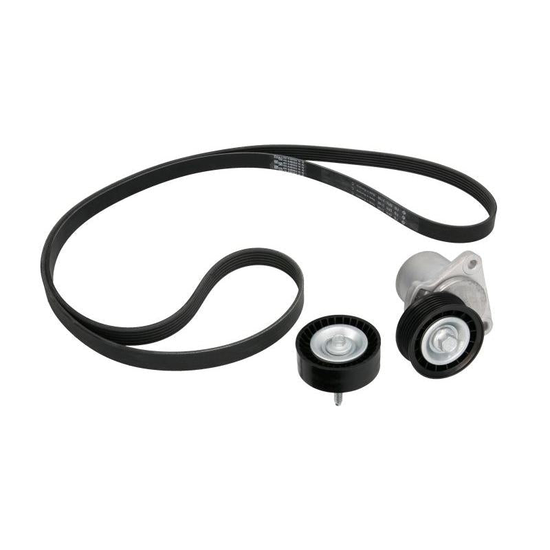 INA 529021910 V-Ribbed Belt Set