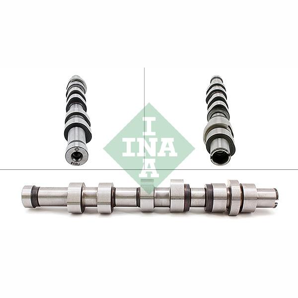 INA 428017010 Camshaft