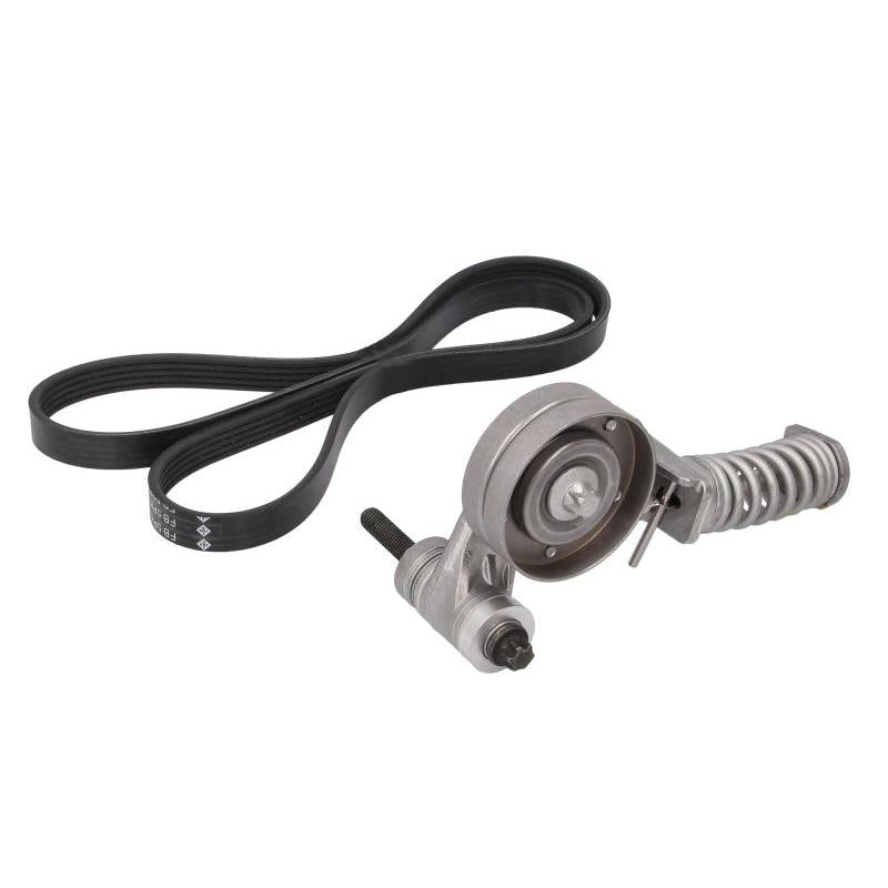 INA 529032410 V-Ribbed Belt Set